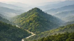 เชียงใหม่ยังครองแชมป์ จังหวัดที่มีพื้นที่ป่าไม้มากที่สุดในไทย